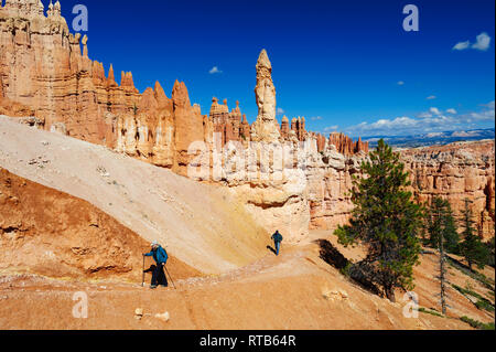 Paar Wanderungen in der faszinierenden Umgebung des Bryce Canyon National Park, Utah, an einem hellen, sonnigen Tag. Stockfoto