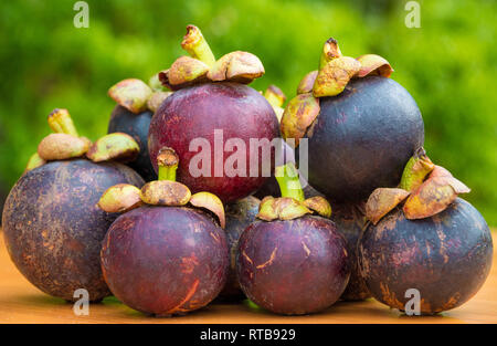 Schönes Bild von mehreren Mangostane (Garcinia mangostana) Früchte, übereinander auf einen hölzernen Tisch gestapelt. Die Früchte mit ihren rötlich-violett... Stockfoto