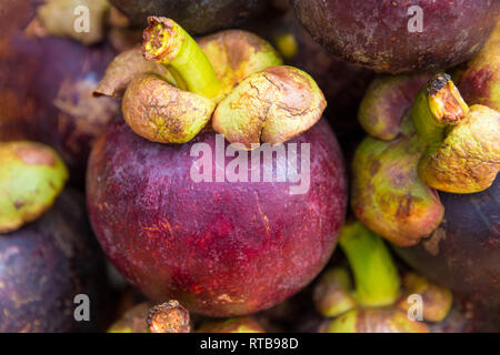 Schöne Nahaufnahme eines reifen rötlich-violetten Mangostan Frucht (Garcinia mangostana) und mehrere andere Früchte im Hintergrund. Organisch gewachsen... Stockfoto