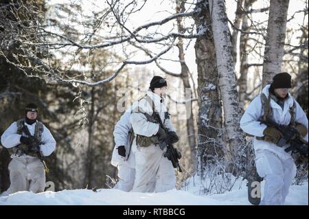 Armee Fallschirmjäger zu Blackfoot Unternehmen, 1.BATAILLON Infanterie Regiment, 501St Fallschirm, 4 Infantry Brigade Combat Team zugewiesen sind Stockfoto