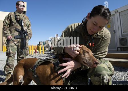 Air Force für religiöse Angelegenheiten Flieger von der 451St Air Expeditionary Gruppe mit Armee behavioral Soldaten aus dem Zug Beraten und Unterstützen Command-South Feb 2, 2019 in Kandahar Airfield, Afghanistan zusammengetan. Sie machten sich auf den Weg durch verschiedene Geschäfte innerhalb der 451St Expeditionary Aircraft Maintenance Squadron, Flieger und Personal mit Eden, eine Armee Therapiehund zu interagieren. Stockfoto