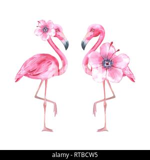 Tropische Vögel. Rosa Flamingo. Aquarell Abbildung Stockfoto