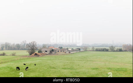 Ländliche Szene mit Bauernhäusern und Esel grasen in Felder mit minster eingehüllt in Nebel am Horizont im frühen Frühjahr, Beverley, Yorkshire, UK. Stockfoto