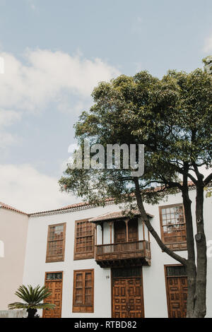 Hohen grünen Wald in der Nähe der alten Gebäude mit einer wunderschönen Fassade und blauen Himmel wachsende Stockfoto