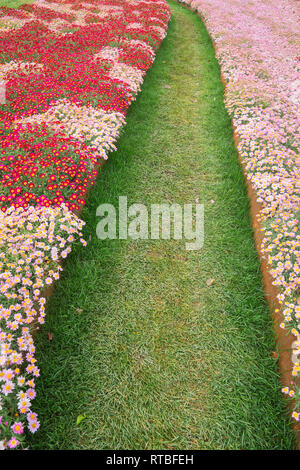 Weg durch blühende Blumen, Genua, Ligurien, Italien, Europa Stockfoto