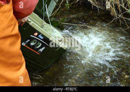 MANCHESTER, Washington - Discovery Alternative High School Kursteilnehmer Travis Avery bereit, einen Container von Coho Lachs schlüpflinge Für die Freisetzung in Beaver Creek am Marinestützpunkt Kitsap - Manchester Feb 7. Die Naval Supply System Befehl Fleet Logistics Center (FLC) NAVSUP Puget Sound Kraftstoff Abteilung hosted lokale High School Studenten 15.000 frisch geschlüpfte Lachs in die wasserlauf durch die Anlage als Teil eines laufenden Schule Projekt zu helfen des Puget Sound Lachs Bevölkerung wiederherstellen zu lösen. Stockfoto