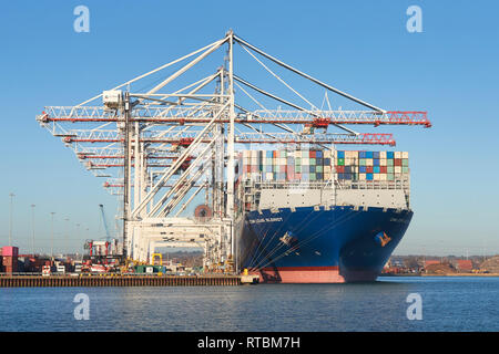 Die 400 Meter, ultra-large Container schiff, CMA CGM LOUIS BLERIOT, Geladen und Entladen an der Southampton Container Terminal Liegeplatz 5, UK. Stockfoto