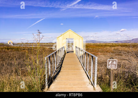 Boardwalk über Sumpfland, Alviso Marina County Park, South San Francisco Bay, Santa Clara County, Kalifornien Stockfoto