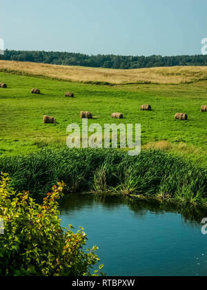 Heu Rollen in der Wiese in der Nähe von Teich in Lettland an einem sonnigen Sommertag. Stockfoto