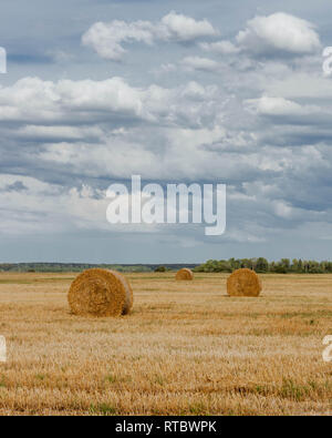 Drei Heu rollt auf einem abgeernteten Getreidefeld in Lettland. Stockfoto