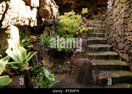 Jameos del Agua, im Lavafeld des Monte Corona, geschaffen von César Manrique, Lanzarote, Kanarische Inseln, Spanien Stockfoto