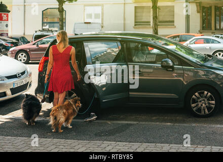 PARIS, Frankreich, 24.Juni, 2017: Junge Frau Hecktür zum Öffnen eines Peugeot minivan Nach ein paar lustigen Shetland Sheepdogs auf einer Französischen Straße Stockfoto