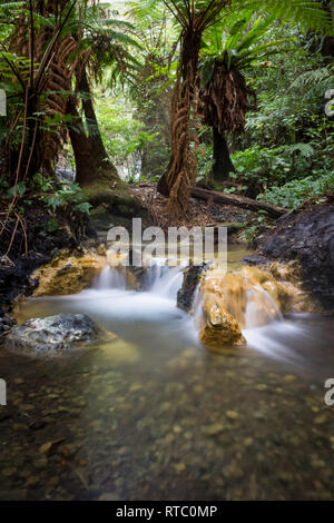 Schön milchig Hot Springs in der Mitte der Wald von Gede Pangrango Berg Stockfoto