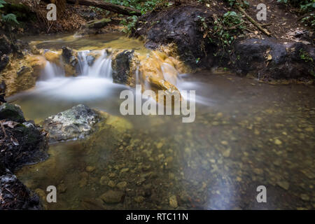 Schön milchig Hot Springs in der Mitte der Wald von Gede Pangrango Berg Stockfoto