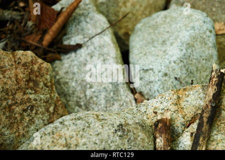 Trockene Steine, Stöcke, und getrockneten Blätter liegen in einem Flussbett in Yuzawa, Niigata, Japan. Stockfoto