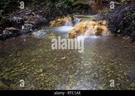 Schön milchig Hot Springs in der Mitte der Wald von Gede Pangrango Berg Stockfoto