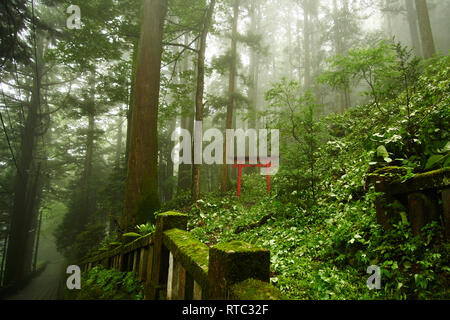 Eine helle rote Torii Tor ist auf der Seite der Trail, der bis zu den Haruna Schrein auf dem Mount Haruna im Wald von ländlichen Gunma, Japan gesehen. Stockfoto