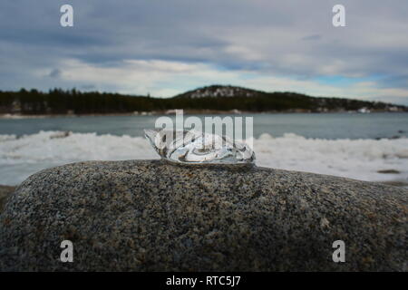 Ein transparentes Stück Eis liegt langsam schmelzen auf einem Granitfelsen am Ufer eines Ozeans Bay. Stockfoto