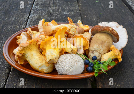 Wald Mittagessen, Blaubeeren und Pilze, Pfifferlinge, Puffball und Bolete Pilze in Braun Keramikplatte auf alten Eiche Tisch Stockfoto