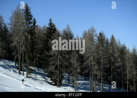 Kronplatz, Südtirol, Italien - 15. Februar 2019: die Menschen genießen Skifahren am Kronplatz Kronplatz in die verschneiten Dolomiten auf einen schönen s Stockfoto