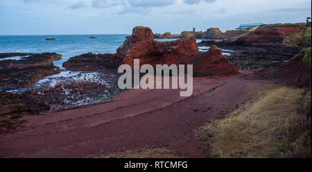 Dunbar ist eine wunderschöne Stadt an der Nordseeküste in East Lothian in der süd-östlich von Schottland. Geburtsort der Naturforscher John Muir. Stockfoto