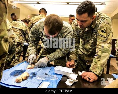 Lager Humphreys, Republik Korea - 1 Lt Armando Zavala, El Paso, Texas, native, Arzt Assistent, 4.BATAILLON, 6 Infanterie Regiment, 3. gepanzerte Brigade Combat Team, 1. Panzerdivision (Rotation), verwendet die Vernähung Tools ein Schnitt in einem Schwein Fuß in der Vorbereitung für das Zusammenfügen von Bildern zu machen. Stockfoto