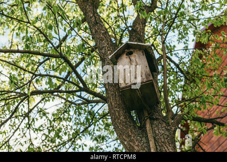 Alte hölzerne birdhouse auf einem Baum gegen den Himmel und das Dach eines Hauses. Im Frühling oder im Sommer gedreht. Selektiver Fokus Makroaufnahme mit flachen DOF Stockfoto