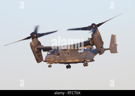 USAF CV-22B Osprey abfliegen und Klettern in der Dämmerung aus der RAF Mildenhall. Die 7 Special Operations Squadron ist der Europäische Betreiber des Art. Stockfoto