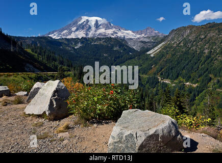 WA 15821-00 ... WASHINGTON - Blick von der Biegung in der Stevens Canyon Road im Mount Rainier National Park. Stockfoto