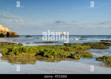 Felsformationen an der Praia da Rocha, Portimao, Algarve, Portugal. Am späten Nachmittag des sonnigen Sommertag. Stockfoto