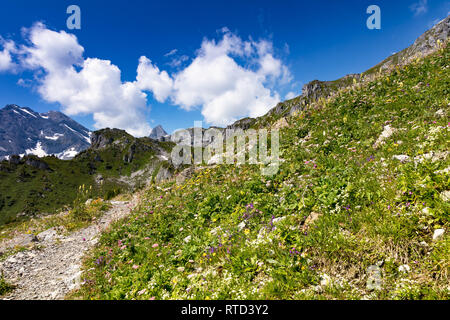 Blumenwiese, Berge und bewölkter Himmel, Schweiz Stockfoto