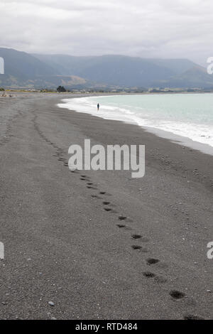 Fischer auf Kaikoura schwarz grau Kieselstrand mit Treibholz Neuseeland Südinsel Stockfoto