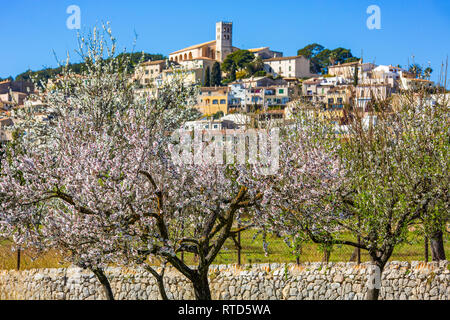 Mandelblüte Saison im Dorf Selva, Mallorca, Balearen, Spanien Stockfoto