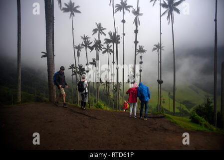 Die cocora Tal (Spanisch: Valle de Cocora) ist ein Tal in der Abteilung QuindÌo, gerade außerhalb der hübsche kleine Stadt des Salento, in dem Land, Stockfoto