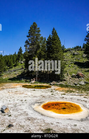 Wirtschaftlichen Geysir, Upper Geyser Basin, Yellowstone-Nationalpark Stockfoto