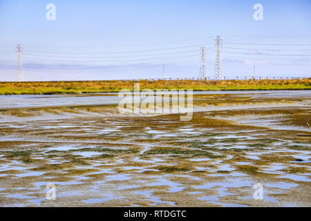 Slough Landschaft in Baylands Park, Palo Alto, Kalifornien Stockfoto