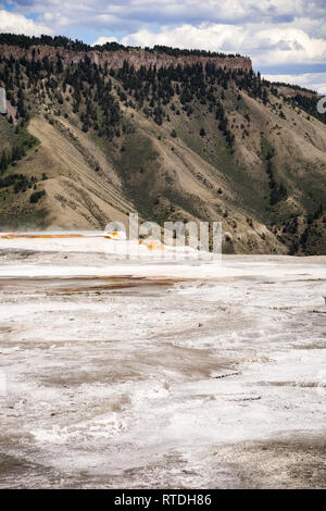 Aktive Hot Spring, Mammoth Hot Springs, Yellowstone Stockfoto