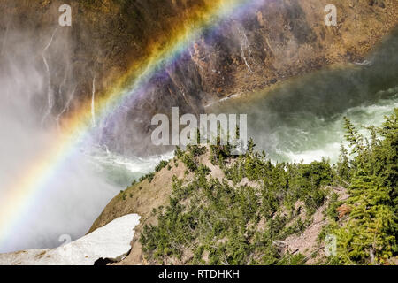 Regenbogen in der Grand Canyon Yellowstone, Yellowstone National Park, Wyoming Stockfoto