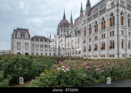 Seitenansicht der beeindruckenden ungarischen Parlamentsgebäude in Budapest. Im Vordergrund sind grün Sträucher und rosa, roten und weißen Rosen in voller Blüte Stockfoto