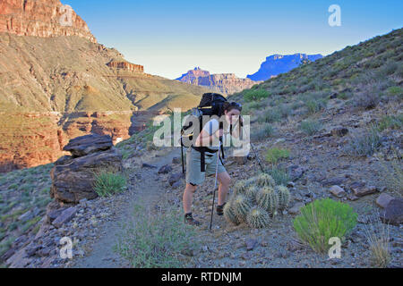 Junge Frau Backpacker an der Tonto Trail im Grand Canyon National Park, Arizona. Stockfoto