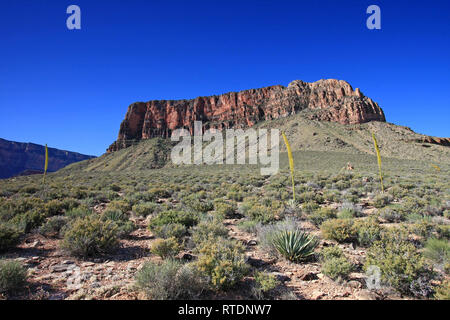 Anzeigen von Ayer Punkt aus der Tonto Trail im Grand Canyon National Park, Arizona. Stockfoto