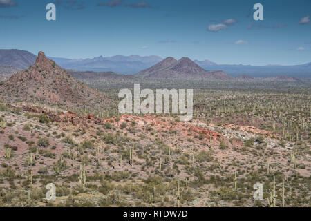 Die malerische Landschaft nach Norden von Dripping Springs entlang der Puerto Blanco Drive, Organ Pipe Cactus National Monument, South-Central Arizona, USA Stockfoto