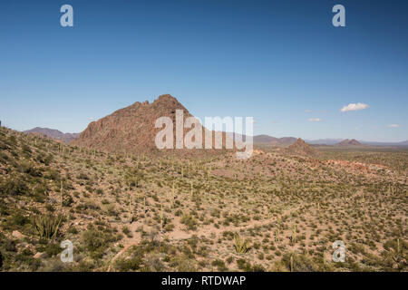 Die malerische Landschaft nach Norden von Dripping Springs entlang der Puerto Blanco Drive, Organ Pipe Cactus National Monument, South-Central Arizona, USA Stockfoto