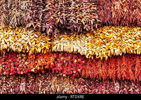 Die verschiedenen roten und gelben getrockneten Chilis, Chilis, Halle, Funchal, Madeira, Portugal Stockfoto