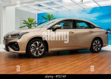 Guangzhou, China. 1. März, 2019. Offizieller Start des GAC NE Aion S elektrische Auto berechnet als die chinesischen Tesla Modell 3 Killer im GAC NE Fabrik in Guangzhou, Provinz Guangdong, China. Mark Andrews/Alamy leben Nachrichten Stockfoto