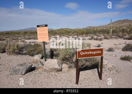 Quitobaquito Feuchtgebiet und Feder, der Heimat von zwei gefährdete Arten, Organ Pipe Cactus National Monument, entlang der internationalen Grenze mit Mexiko. Stockfoto