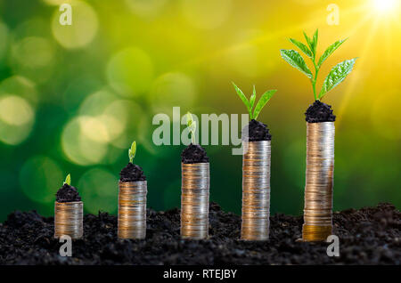 Geld Wachstum spart Geld. Oberen baum Münzen gezeigt Konzept für wachsende Unternehmen Stockfoto