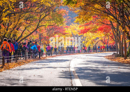 JEOLLABUK-DO, KOREA - November 10, 2014: Herbst Landschaft von Korea, naejangsan Nationalpark im Herbst, Südkorea am 10. November 2014. Stockfoto