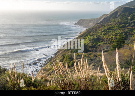 Vista Blick auf die Küste von Big Sur in Kalifornien, als die Sonne über dem Pazifik, die Beleuchtung der cortaderia jubata am Grat entlang. Stockfoto