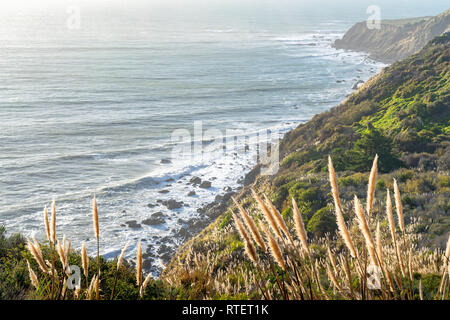 Vista Blick auf die Küste von Big Sur in Kalifornien, als die Sonne über dem Pazifik, die Beleuchtung der cortaderia jubata am Grat entlang. Stockfoto